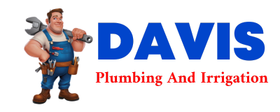 Trusted plumber in CALIENTE